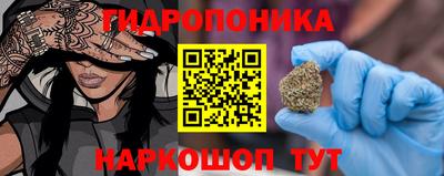 гашик Будённовск