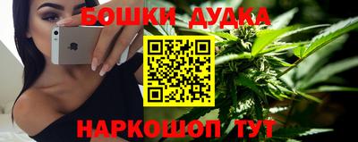 гашик Будённовск