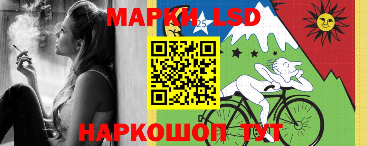 МЕФ Реж