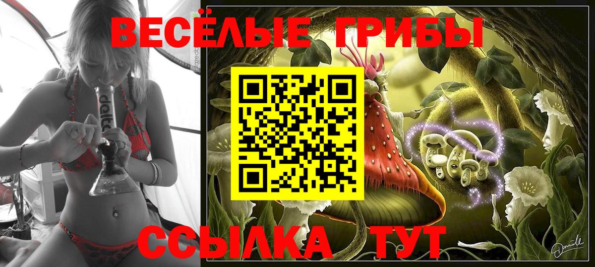 Реж  Галлюциногенные грибы мухоморы  Вход с VPN  Галлюциногенные грибы GOLDEN TEACHER 